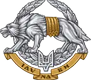 Forces d'opérations spéciales